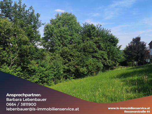 Grundstück zum Kauf 50.000 € 3.126 m² Grundstück Pöllau 8225