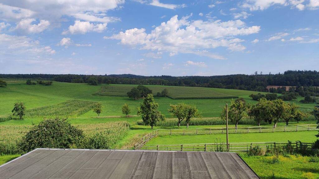 Einfamilienhaus zum Kauf 549.000 € 7 Zimmer 257 m² 1.237 m² Grundstück frei ab sofort Lohrbach Mosbach 74821