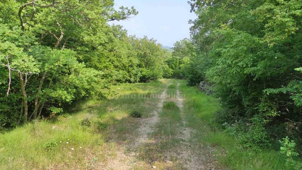 Land-/Forstwirtschaft zum Kauf 245.000 € Krk