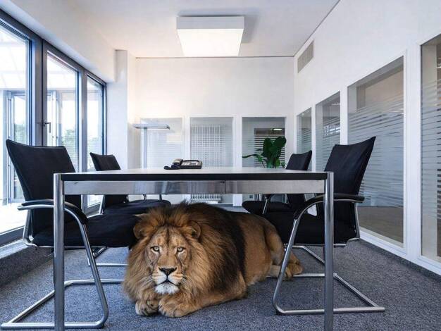 Bürofläche zur Miete 2.140 € 8 Zimmer 219 m² Bürofläche Pfungstadt 64319