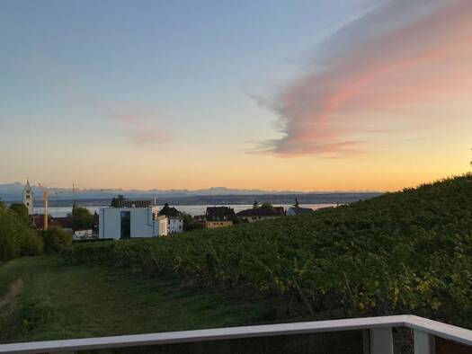 Einfamilienhaus zum Kauf provisionsfrei 900.000 € 5 Zimmer 145 m² 406 m² Grundstück Meersburg Meersburg 88709