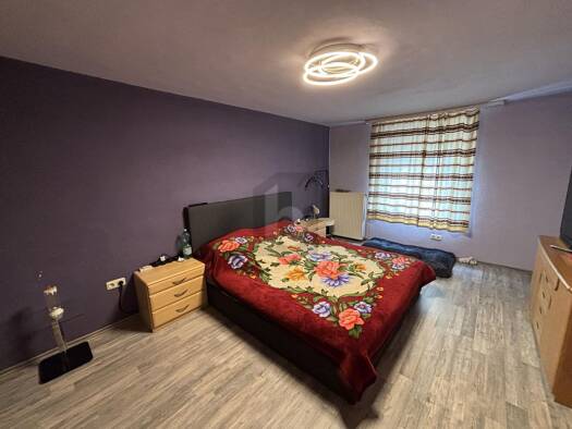Mehrfamilienhaus zum Kauf 279.000 € 14 Zimmer 220 m² 154 m² Grundstück Dreis 54518