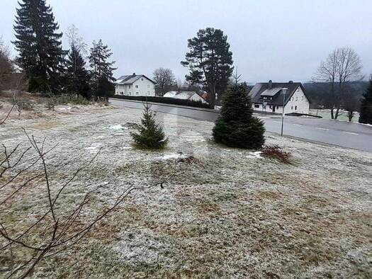 Grundstück zum Kauf 120.000 € 600 m² Grundstück Eisenbach (Hochschwarzwald) 79871