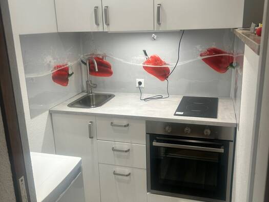 Wohnung zur Miete 460 € 1 Zimmer 33 m² Geschoss 3/4 frei ab 28.01.2026 Stadtmitte Neu-Ulm 89231