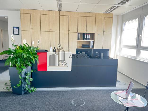 Bürofläche zur Miete provisionsfrei 13,50 € 279 m² Bürofläche Feudenheim Mannheim 68259