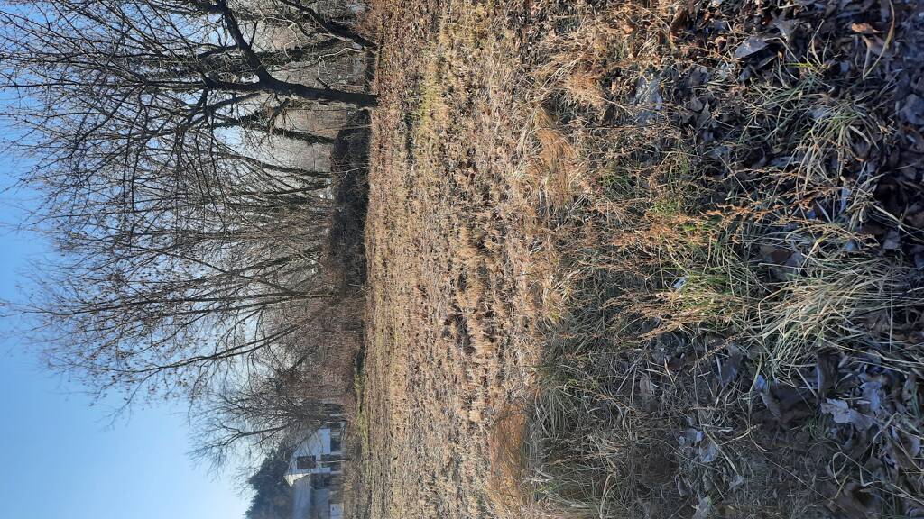 Grundstück zum Kauf 207.500 € 800 m² Grundstück Siófok 8600