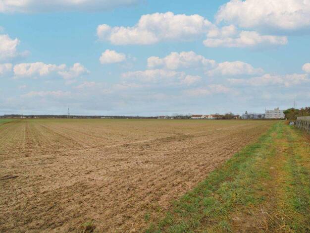 Grundstück zum Kauf 1.250.000 € 27.743 m² Grundstück Kandel 76870