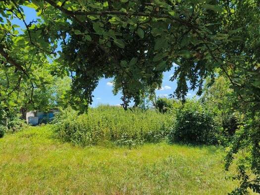 Grundstück zum Kauf 170.000 € 538 m² Grundstück frei ab sofort Freisbach 67361