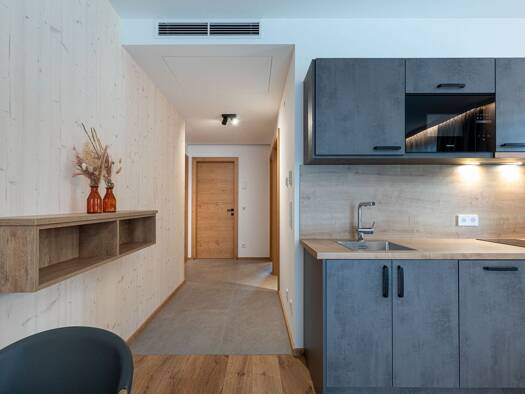 Wohnung zur Miete auf Zeit 3.221 € 1 Zimmer 52 m² frei ab 03.01.2027 Leopoldskron Salzburg 5020