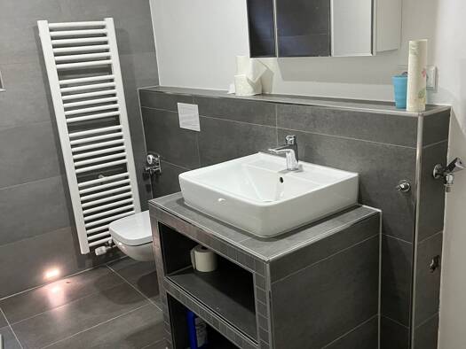 Wohnung zur Miete 550 € 1,5 Zimmer 48 m² Geschoss EG/2 frei ab 01.10.2026 Neckartenzlingen 72654