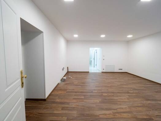 Wohnung zur Miete 540 € 2 Zimmer EG Retz 2070