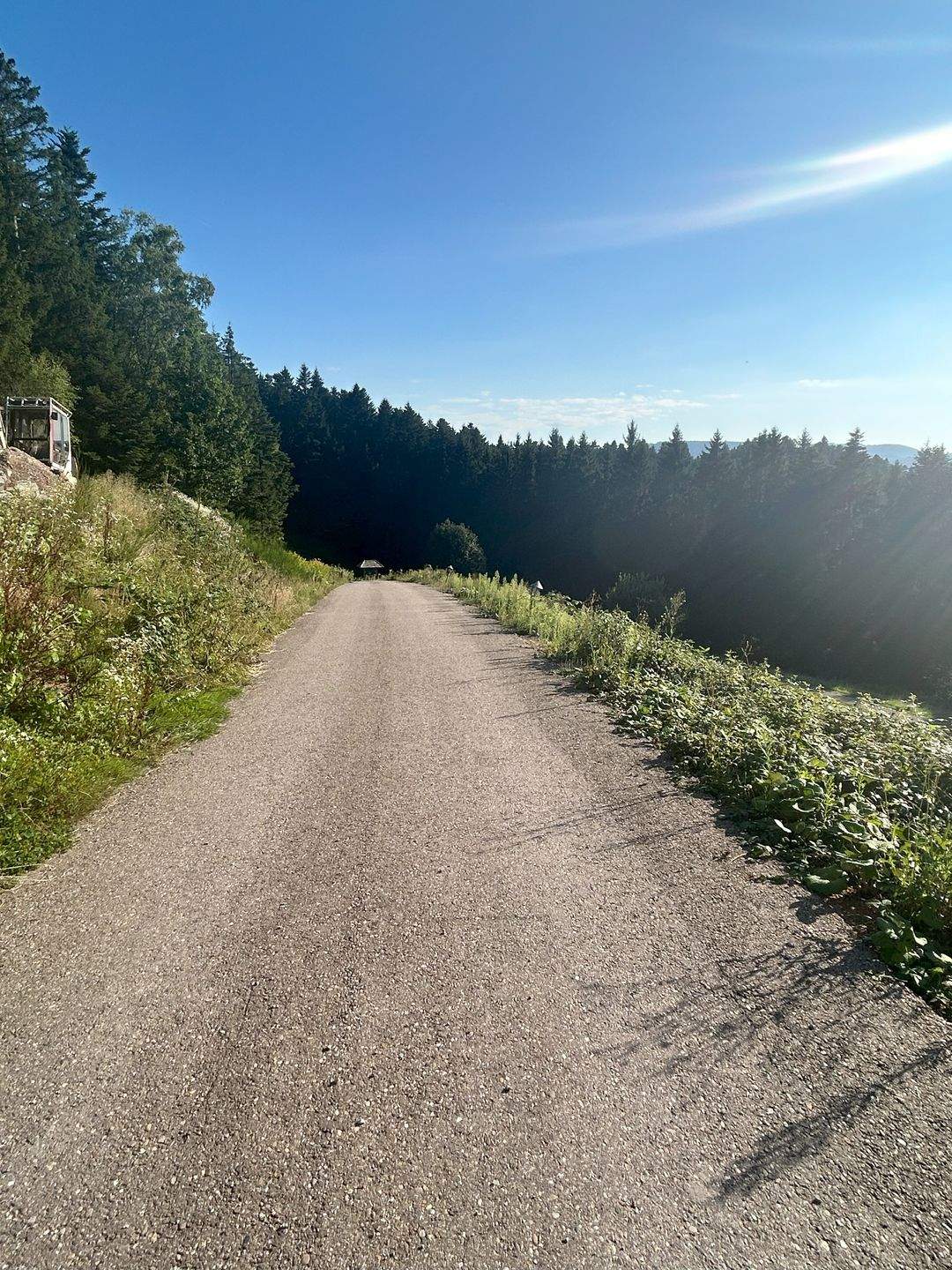 Immobilie in Schenkenzell - Exklusives Schwarzwaldrefugium - Zeit für Freunde, Familie und besondere Momente - Bild 4