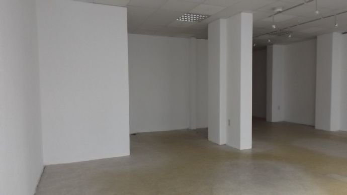 Praxisfläche zur Miete provisionsfrei 120 m²<br/>Bürofläche Bismarckstraße 31 Innenstadt Görlitz 02826