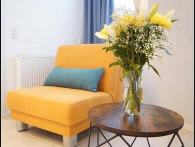 Hotel zur Miete 17 Zimmer 300 m² Grundstück Brombach Lörrach 79541