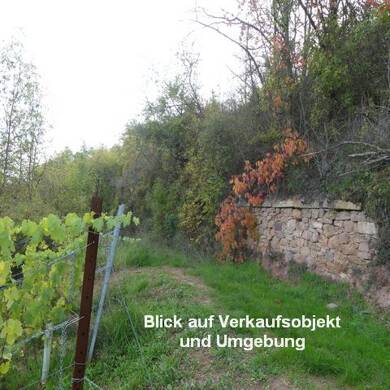 Land-/Forstwirtschaft zum Kauf provisionsfrei 3.900 € 1.465 m² 1.465 m² Grundstück K 1 - nördlich Münster-Sarmsheim 55424