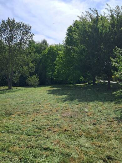 Grundstück zum Kauf provisionsfrei 58.000 € 1.166 m² Grundstück Parkweg 10 Levitzow Sukow-Levitzow 17168
