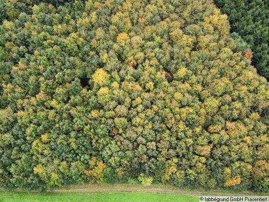 Land-/Forstwirtschaft zum Kauf 27.906 m² Grundstück Fuchsberg Egenhofen 82281