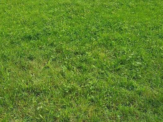 Grundstück zum Kauf 207.000 € 2.300 m² Grundstück Treubach 5272