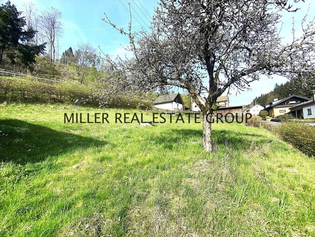 Einfamilienhaus zum Kauf 284.000 € 6 Zimmer 200 m² 1.745 m² Grundstück Wilhelmsthal Wilhelmsthal 96352