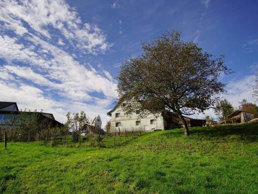 Haus zum Kauf 239.000 € 3 Zimmer 100 m² 3.160 m² Grundstück Großschönach Herdwangen-Schönach 88634