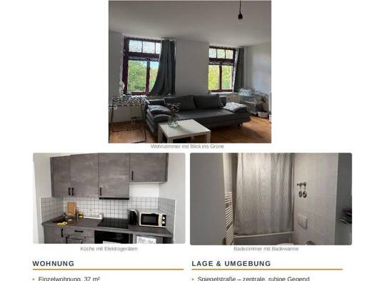 Wohnung zur Miete 247 € 1,5 Zimmer 37 m² Geschoss 2/5 frei ab 01.12.2026 Bahnhofsvorstadt Zwickau 08056