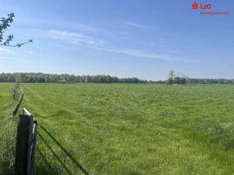 Land/Forstwirtschaft kaufen in Chemnitz Bernsdorf immowelt