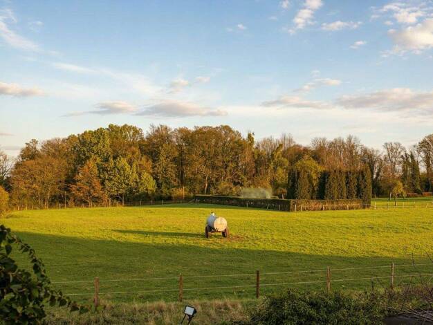 Grundstück zum Kauf provisionsfrei 253.900 € 643 m² Grundstück Rhynern Hamm 59069