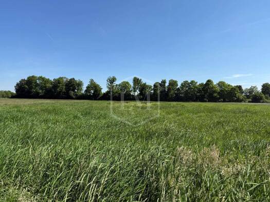 Landwirtschaftliche Fläche zum Kauf 95.000 € 15.789 m² Grundstück Grefrath 47929