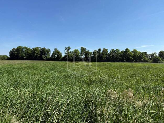Landwirtschaftliche Fläche zum Kauf 95.000 € 15.789 m² Grundstück Grefrath Grefrath 47929