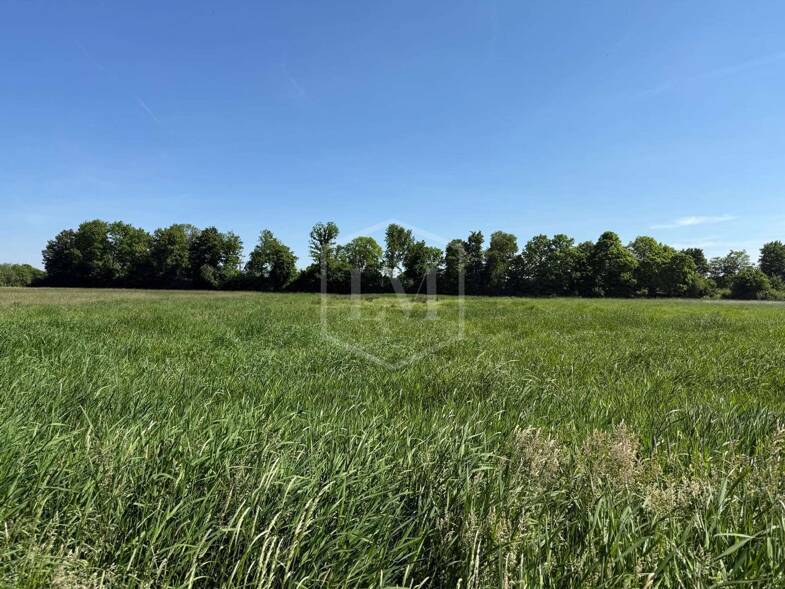 Landwirtschaftliche Fläche zum Kauf 95.000 € 15.789 m² Grundstück Grefrath Grefrath 47929