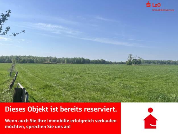 Land-/Forstwirtschaft zum Kauf 55.393 m² Grundstück Halenhorst Großenkneten 26197