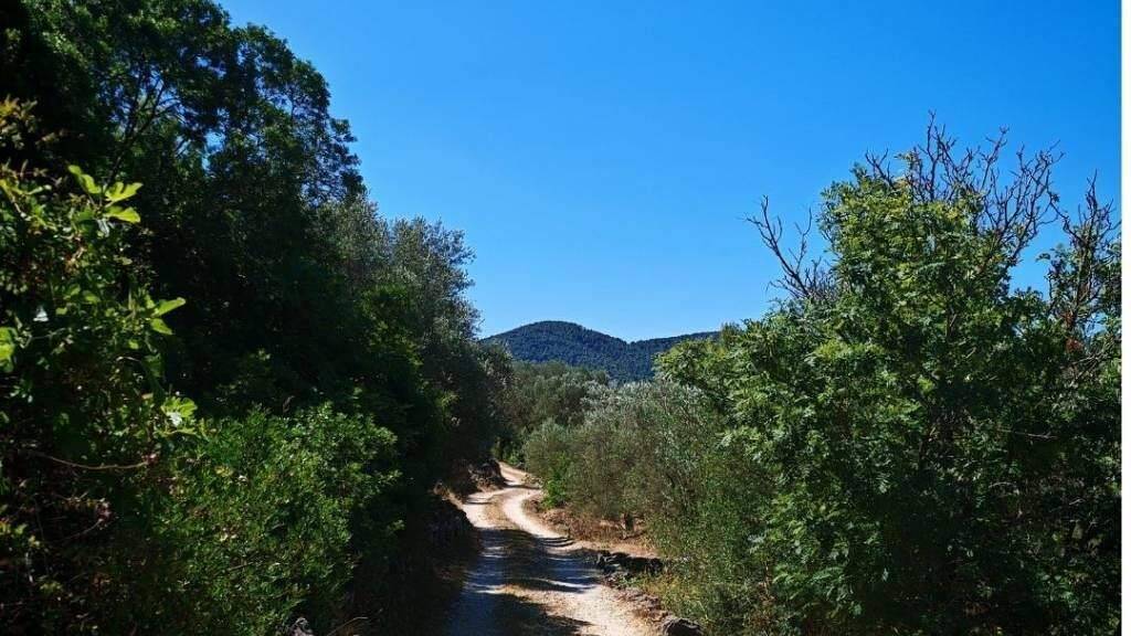 Land-/Forstwirtschaft zum Kauf 136.000 € Vela Luka