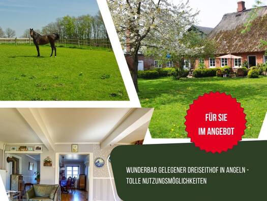 Haus zum Kauf 479.000 € 9 Zimmer 440 m² 15.000 m² Grundstück Böel 24401