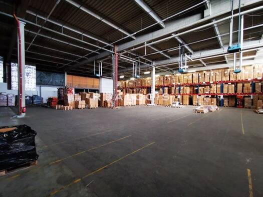 Halle/Industriefläche zur Miete 4.350 m² Lagerfläche Billbrook Hamburg 22113