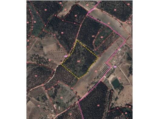 Grundstück zum Kauf 58.000 € 14.120 m² Grundstück Rio Maior