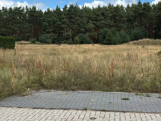 Grundstück zum Kauf provisionsfrei 150.000 € 614 m² Grundstück Sandplan 23 Pausin Schönwalde-Glien 14621