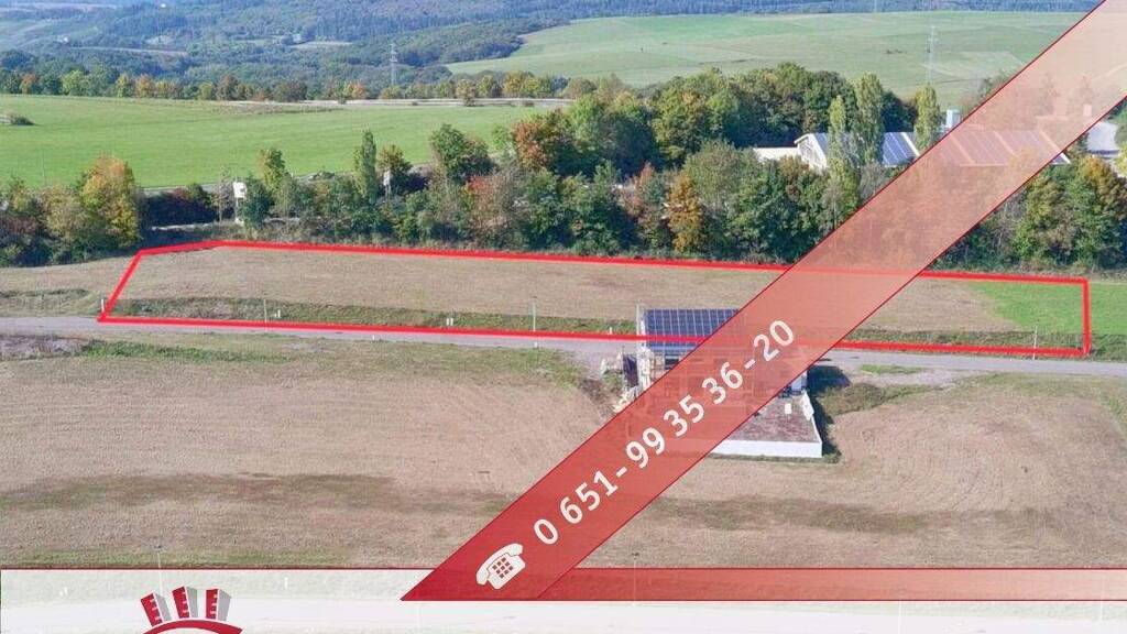 Grundstück zum Kauf 130.410 € 567 m² Grundstück Pellingen 54331