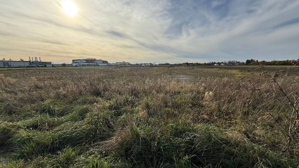 Gewerbegrundstück zum Kauf 1.500.000 € 30.076 m² Grundstück Asbach-Bäumenheim 86663