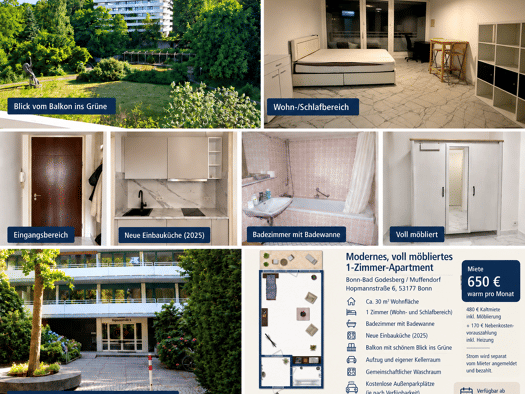 Studio zur Miete 480 € 1 Zimmer 30 m² Geschoss 5/6 frei ab 01.11.2026 Hopmannstr. 6 Muffendorf Bonn 53177