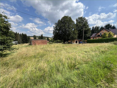Grundstück zum Kauf 49.000 € 3.625 m² Grundstück Hauptstraße 52 Friedersdorf Neusalza-Spremberg / Neufriedersdorf 02742