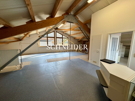 Halle/Industriefläche zur Miete 500 € 125 m² Lagerfläche Schenkenzell 77773