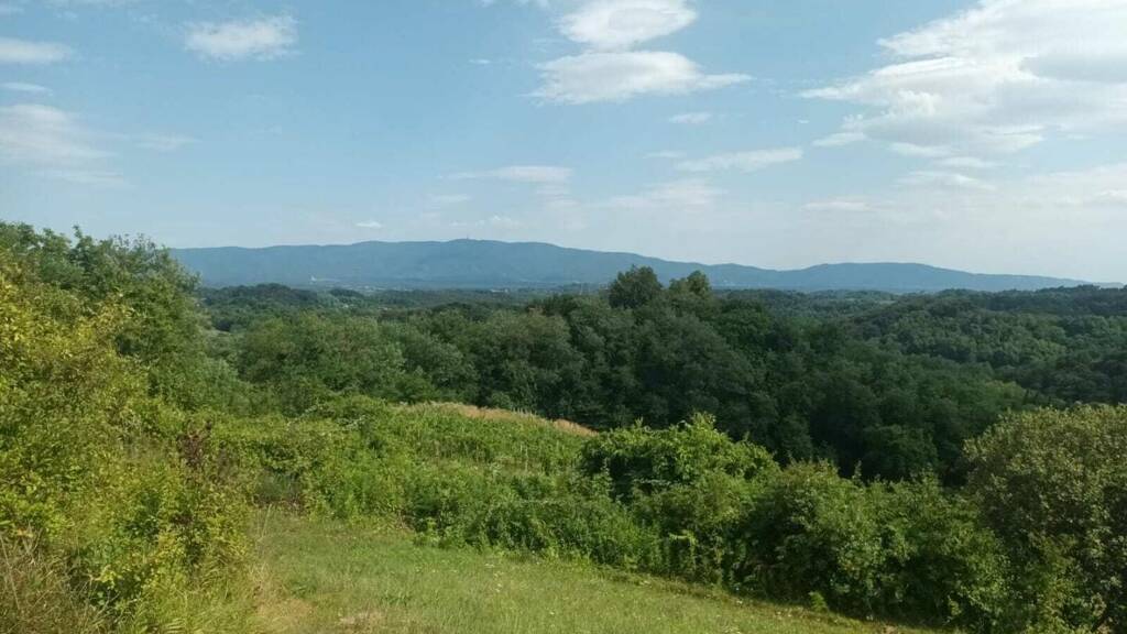 Land-/Forstwirtschaft zum Kauf 32.000 € Veliko Trgovisce 49214