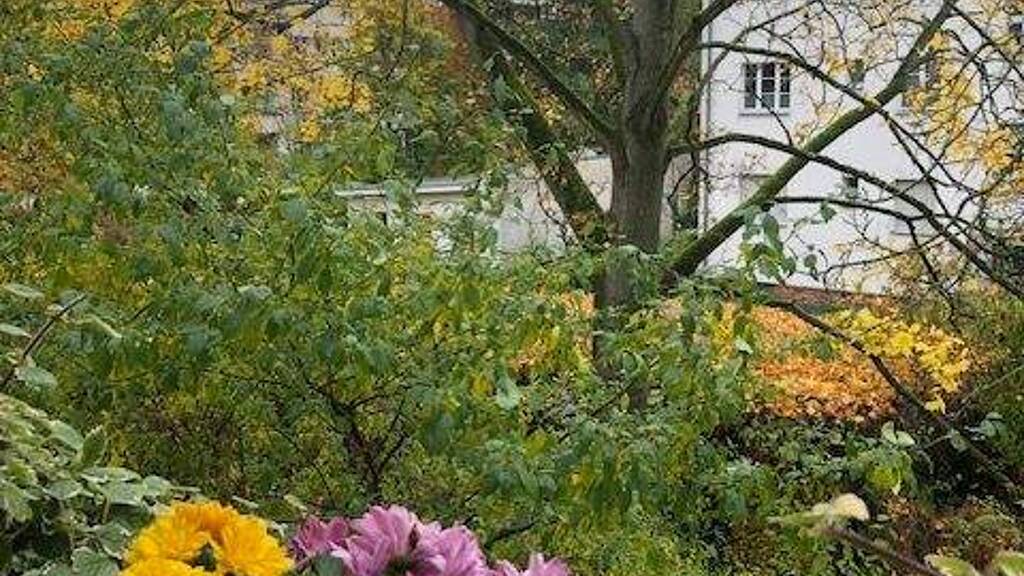 Wohnung zum Kauf als Kapitalanlage geeignet 158.000 € 2 Zimmer 45,6 m² Büchnerweg 9 Adlershof Berlin 12489