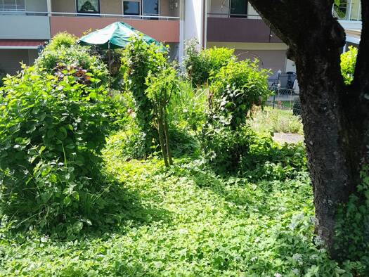 Haus zur Miete 1.800 € 5 Zimmer 160 m² frei ab sofort Untergruppenbach Untergruppenbach 74199
