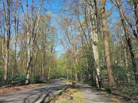 Terrassenwohnung zur Miete 12.500 € 6 Zimmer 430 m² EG Müngersdorf Köln 50933