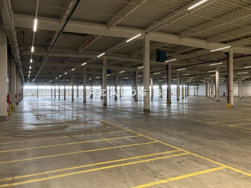 Halle/Industriefläche zur Miete provisionsfrei 36.952 m²<br/>Lagerfläche Greven Greven 48268