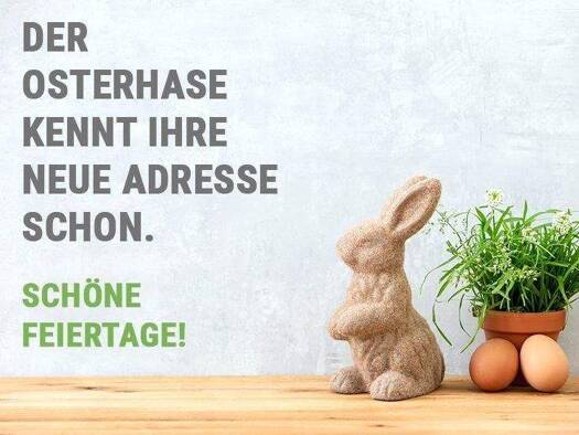 WG-Zimmer zur Miete 1.120 € 3 Zimmer 115 m² 1. Geschoss frei ab 16.04.2026 Frauentorgraben 69 Tafelhof Nürnberg 90443