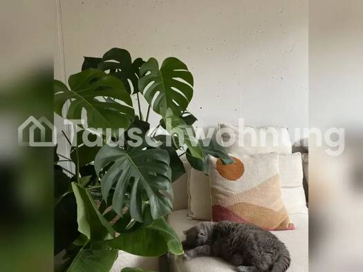 Studio zur Miete Tauschwohnung 412 € 1 Zimmer 27 m² 3. Geschoss Centrum Münster 48143