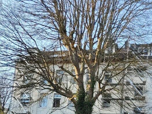 Wohnung zum Kauf 139.000 € 3 Zimmer 69 m² 4. Geschoss Elberfeld Wuppertal 42107