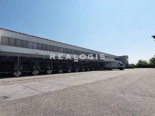 Halle/Industriefläche zur Miete 12.000 m² Lagerfläche teilbar ab 1.820 m² Nieder-Olm 55268